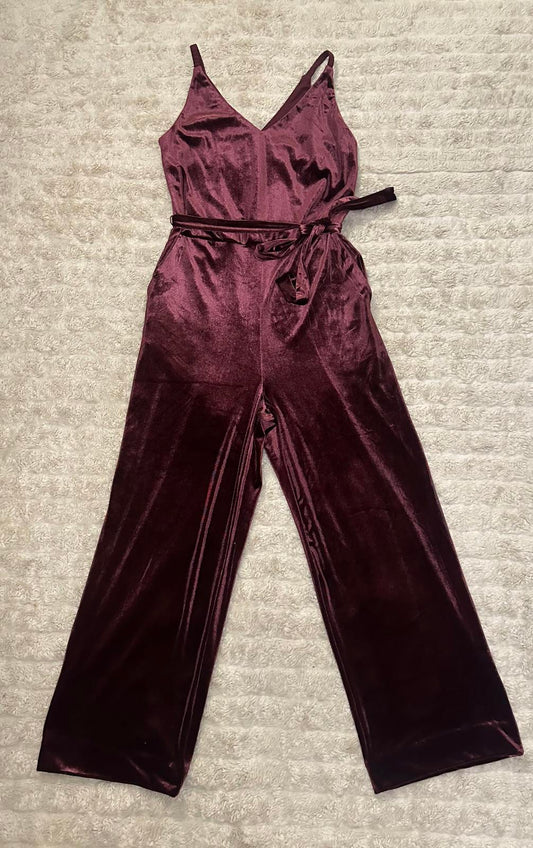 Banana Republic whimsigoth dark fairy burgundy V-neck velvet jumpsuit Size 2