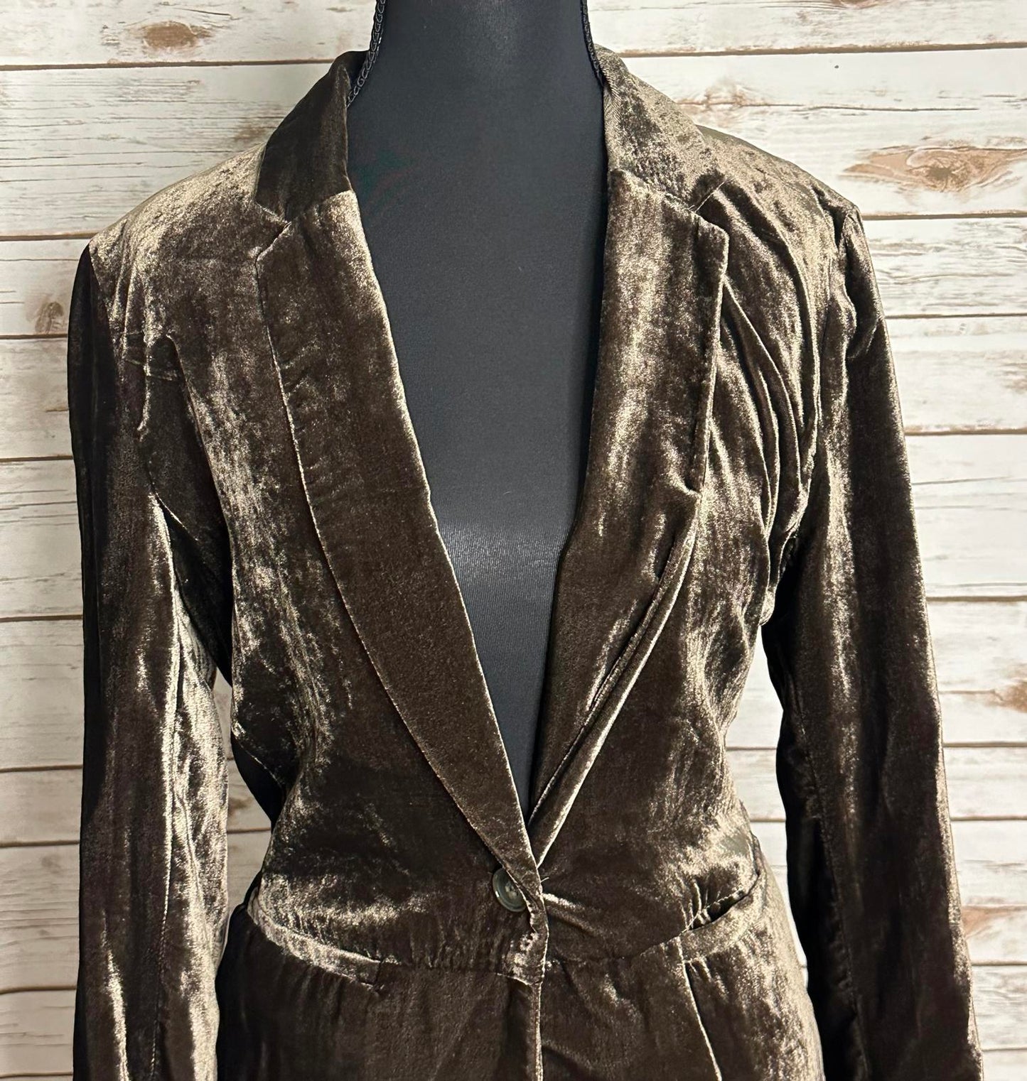 Anthropologie Cartonnier iridescent velvet single-breasted blazer Size 4