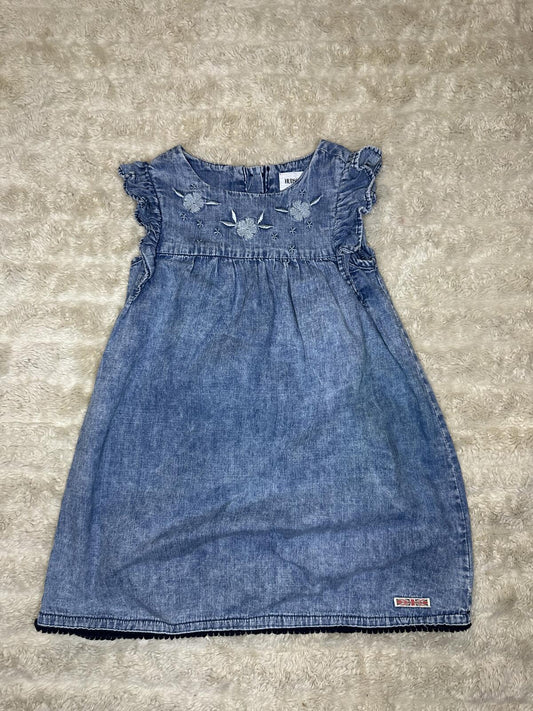 Hudson chambray blue embroidered floral ruffle sleeve dress Size 3T cottagecore