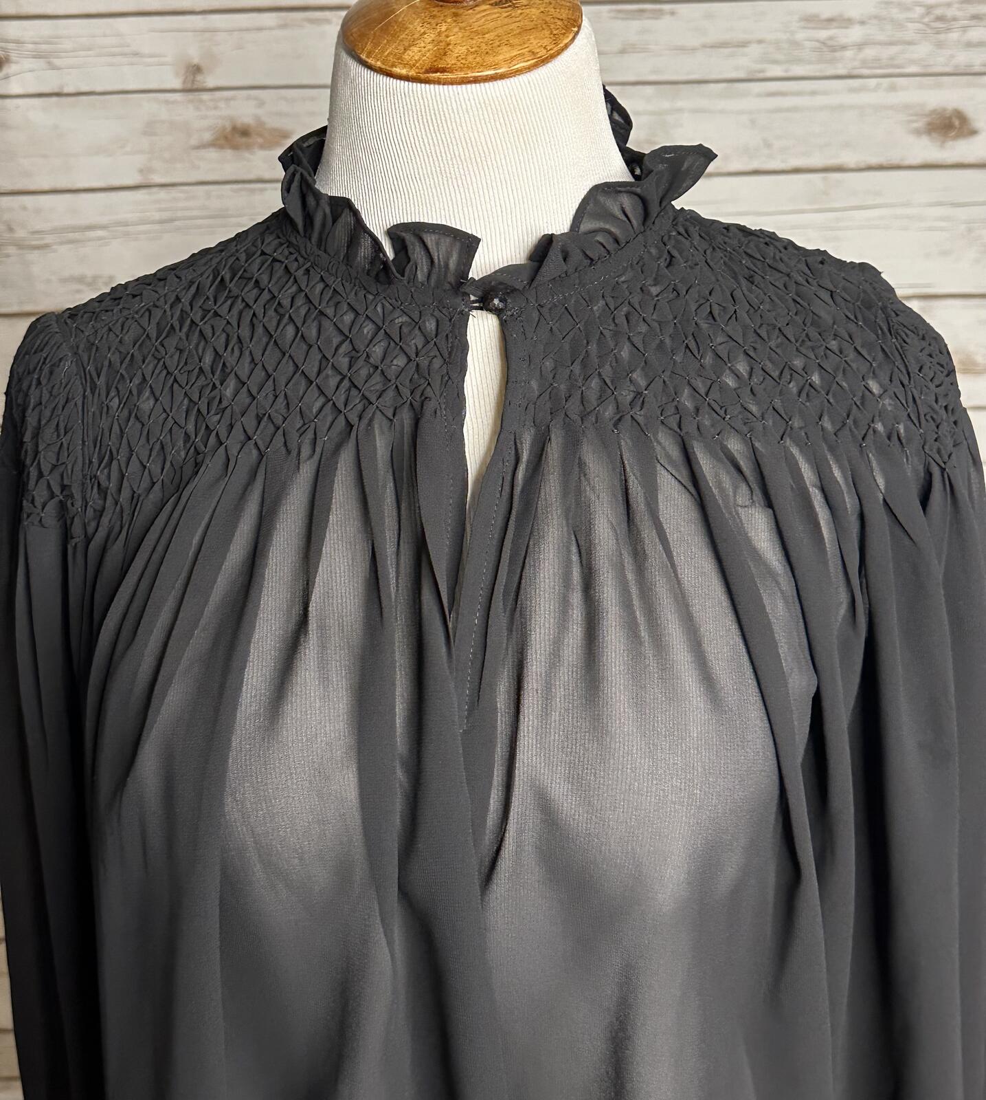 Tuckernuck black smocked sheer chiffon ruffle neck long sleeve poet blouse Small