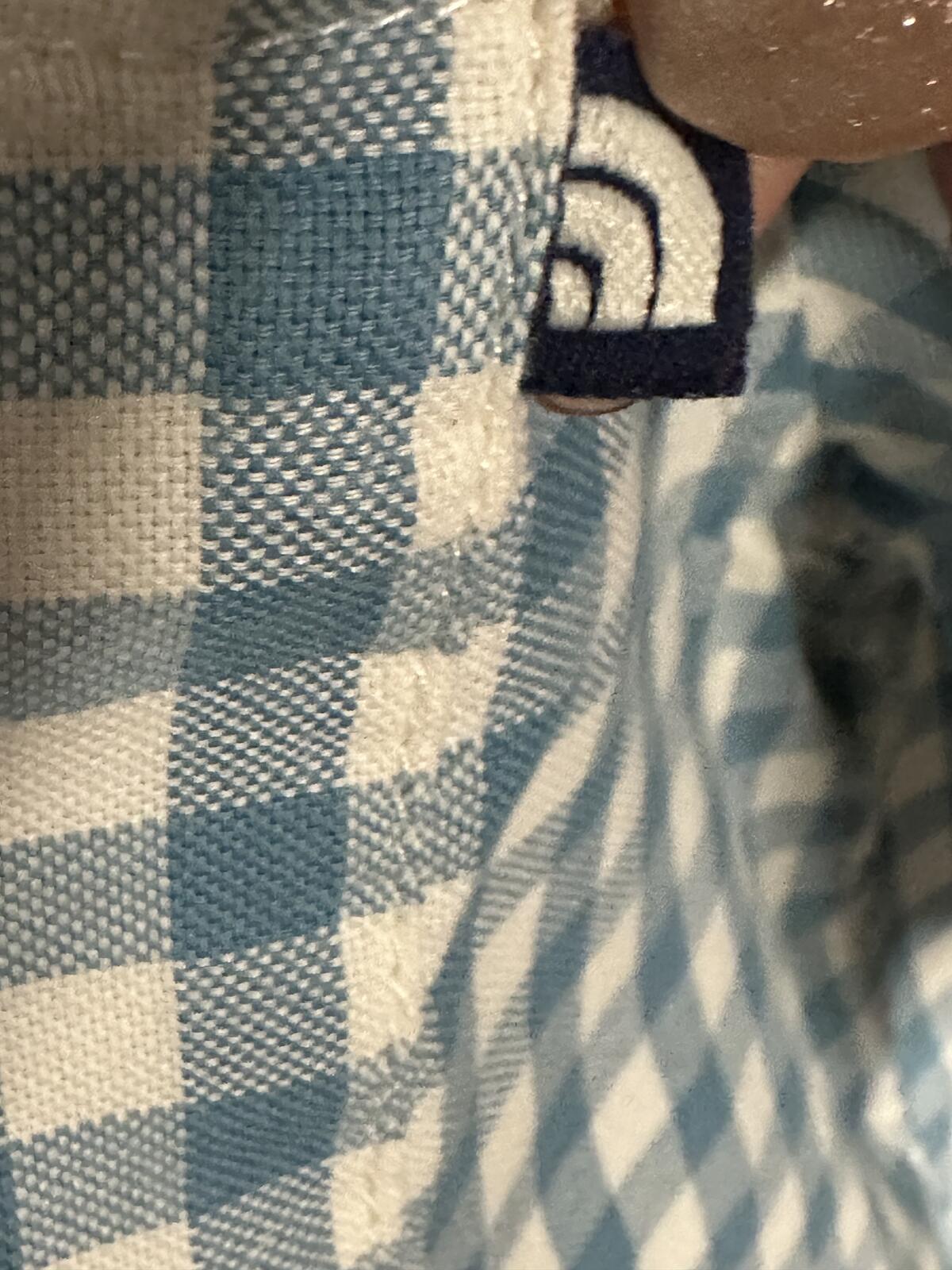 The North Face blue white gingham short sleeve button-up shirt Medium gorpcore